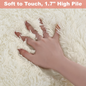 Nefoso Shag Area Rug, 7' x 10' Soft Fluffy Area Rugs